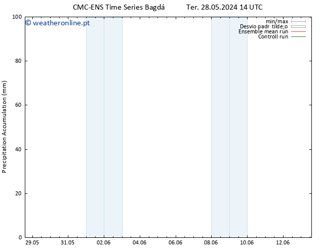 Precipitation accum. CMC TS Sex 31.05.2024 14 UTC