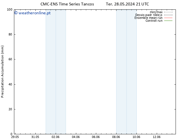 Precipitation accum. CMC TS Dom 09.06.2024 21 UTC