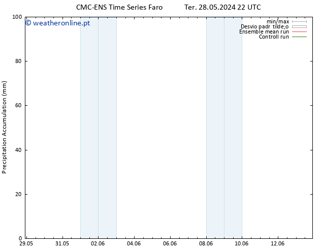 Precipitation accum. CMC TS Seg 03.06.2024 10 UTC