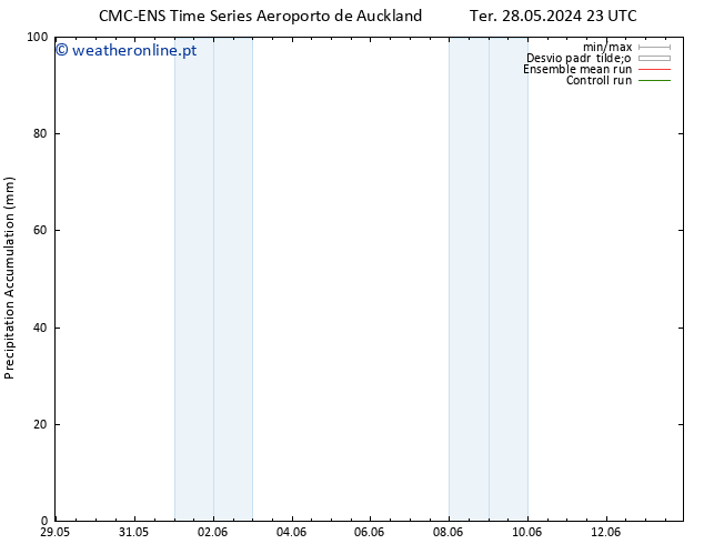 Precipitation accum. CMC TS Qua 29.05.2024 05 UTC