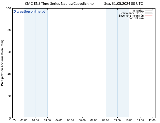 Precipitation accum. CMC TS Ter 04.06.2024 00 UTC