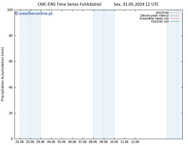 Precipitation accum. CMC TS Ter 04.06.2024 12 UTC