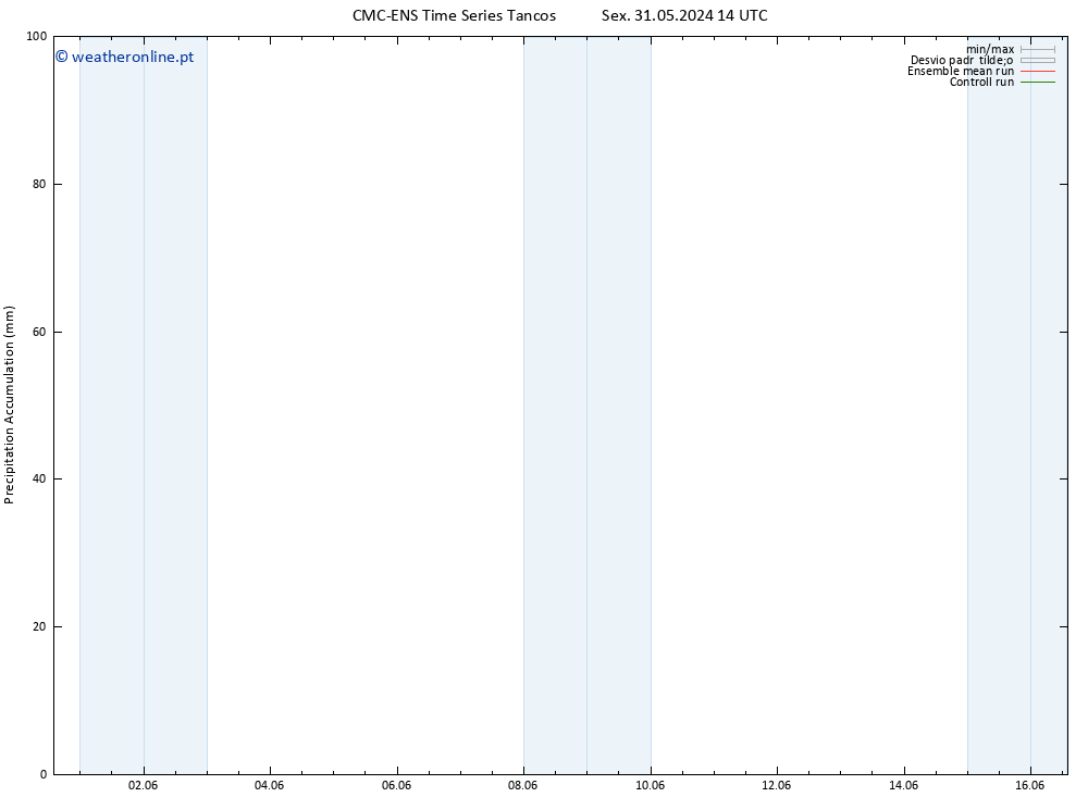 Precipitation accum. CMC TS Seg 03.06.2024 14 UTC