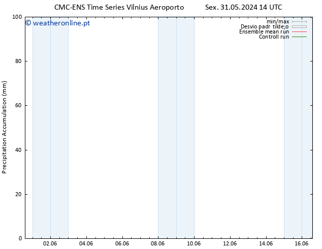 Precipitation accum. CMC TS Qua 12.06.2024 20 UTC