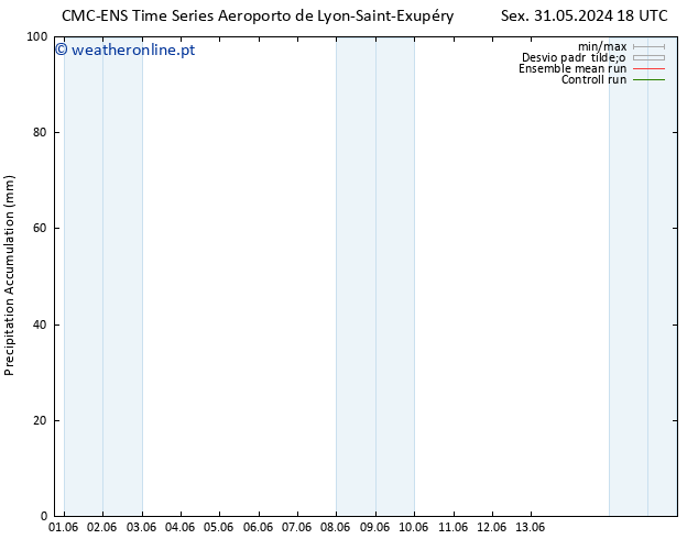 Precipitation accum. CMC TS Dom 02.06.2024 06 UTC