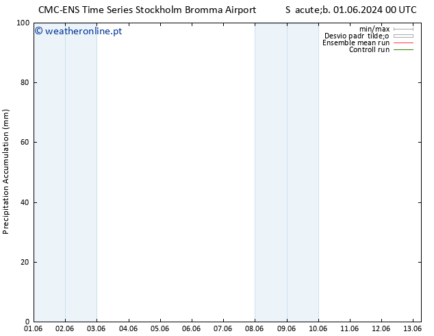 Precipitation accum. CMC TS Ter 04.06.2024 12 UTC