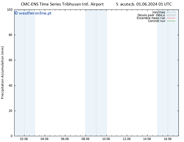 Precipitation accum. CMC TS Sáb 01.06.2024 01 UTC