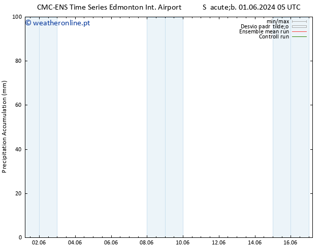 Precipitation accum. CMC TS Sáb 08.06.2024 05 UTC