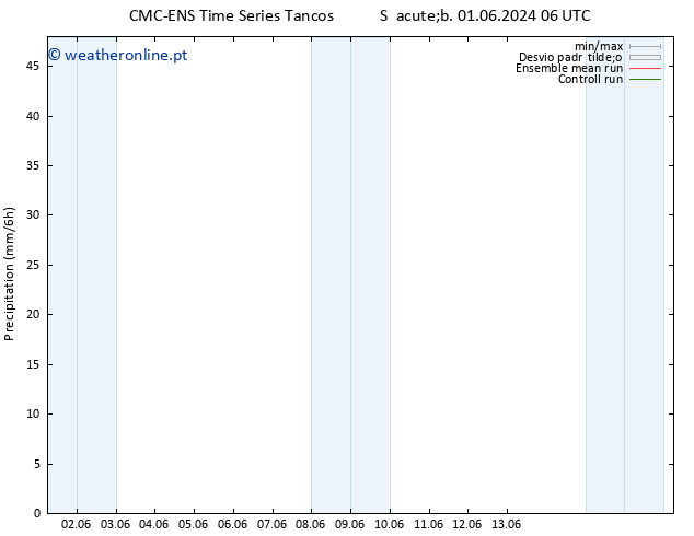 precipitação CMC TS Ter 04.06.2024 00 UTC