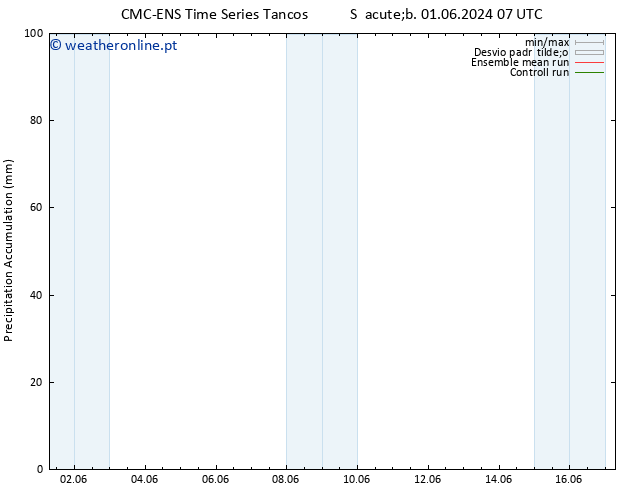 Precipitation accum. CMC TS Ter 04.06.2024 19 UTC