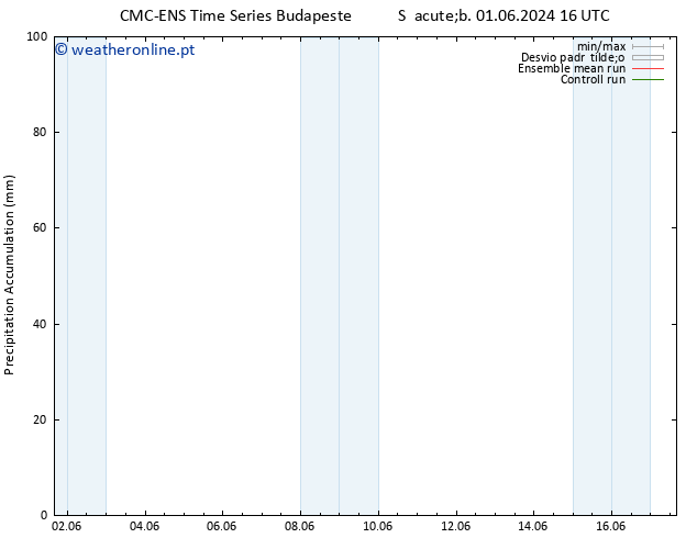 Precipitation accum. CMC TS Sáb 01.06.2024 16 UTC