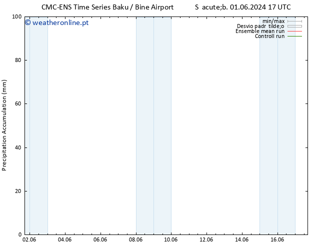 Precipitation accum. CMC TS Sáb 08.06.2024 11 UTC