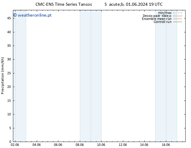 precipitação CMC TS Dom 02.06.2024 19 UTC