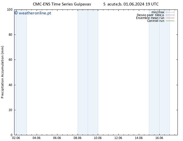 Precipitation accum. CMC TS Sáb 01.06.2024 19 UTC