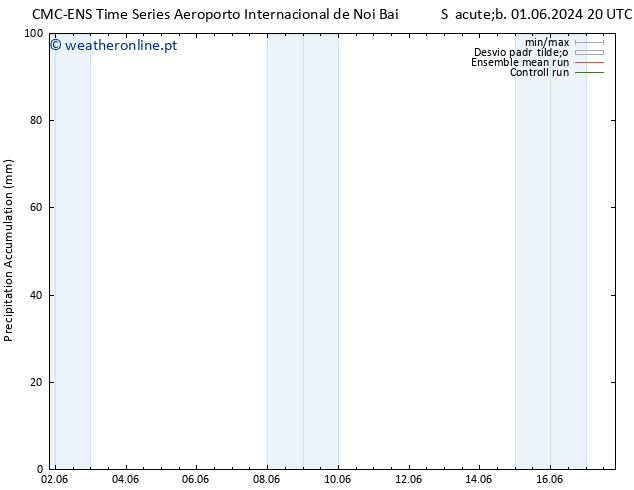 Precipitation accum. CMC TS Seg 03.06.2024 20 UTC
