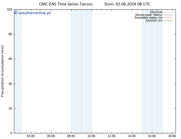 Precipitation accum. CMC TS Qui 06.06.2024 20 UTC