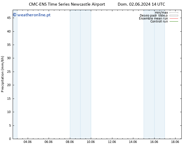 precipitação CMC TS Dom 02.06.2024 20 UTC