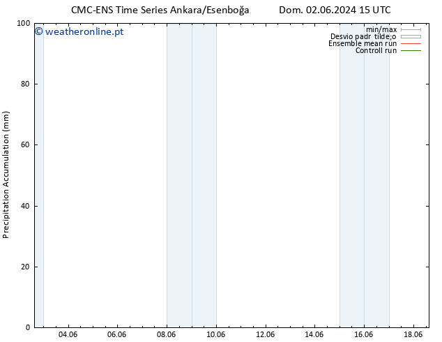 Precipitation accum. CMC TS Dom 02.06.2024 21 UTC