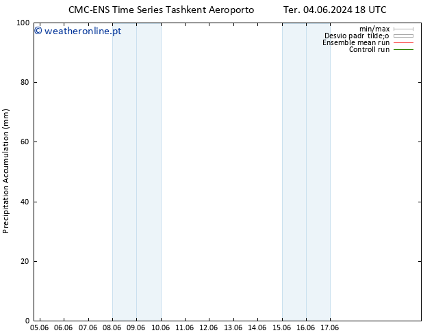 Precipitation accum. CMC TS Ter 04.06.2024 18 UTC