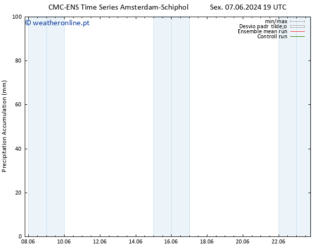 Precipitation accum. CMC TS Sex 07.06.2024 19 UTC