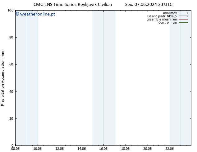 Precipitation accum. CMC TS Dom 09.06.2024 11 UTC