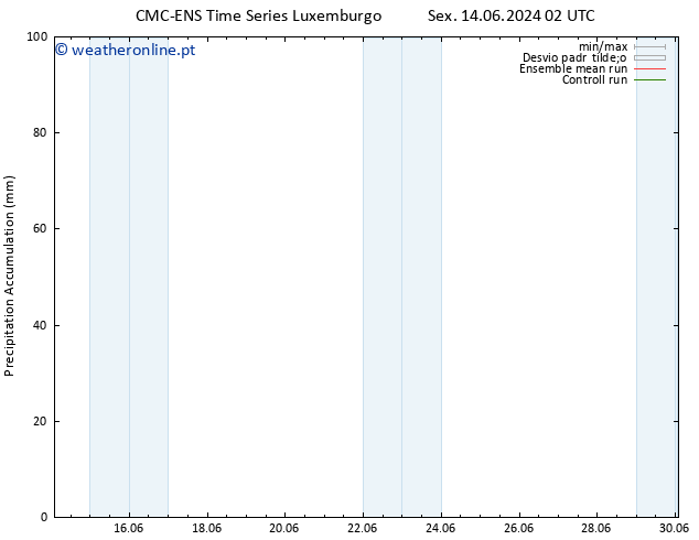 Precipitation accum. CMC TS Seg 17.06.2024 14 UTC