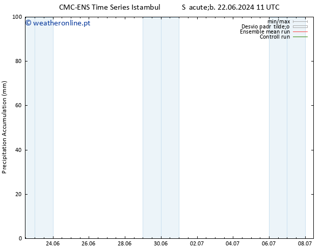 Precipitation accum. CMC TS Dom 23.06.2024 17 UTC