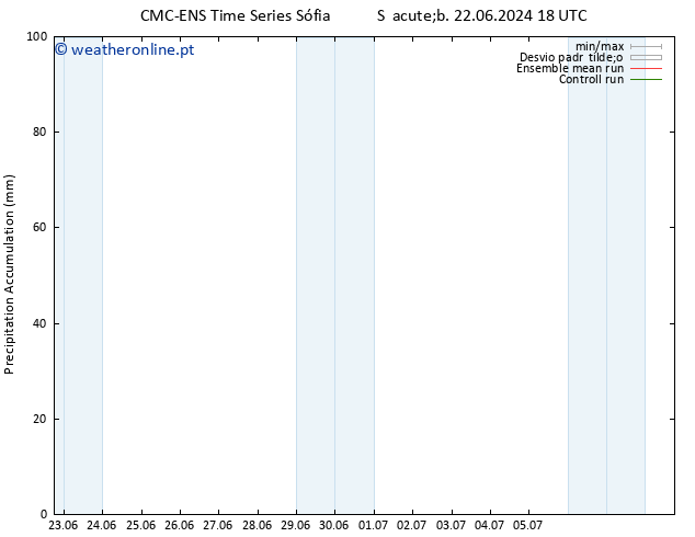 Precipitation accum. CMC TS Seg 01.07.2024 06 UTC