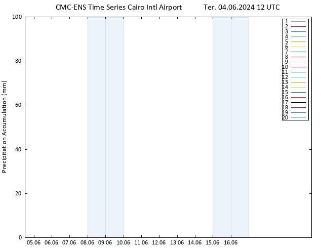 Precipitation accum. CMC TS Ter 04.06.2024 12 UTC