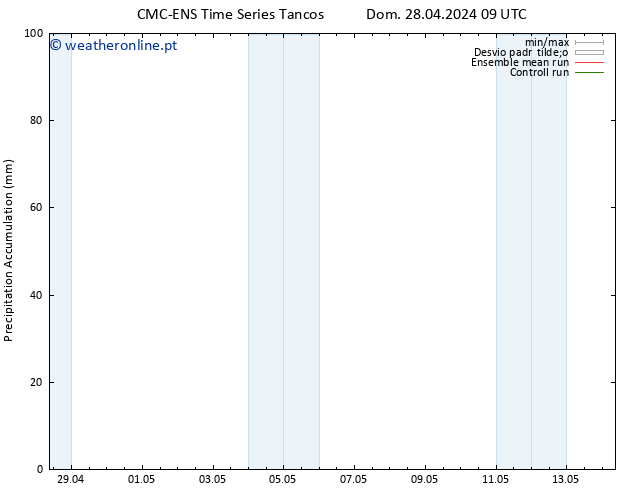 Precipitation accum. CMC TS Seg 29.04.2024 03 UTC