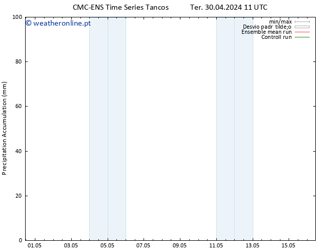 Precipitation accum. CMC TS Qua 01.05.2024 11 UTC