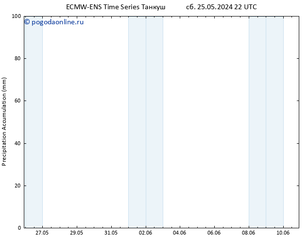 Precipitation accum. ALL TS пн 10.06.2024 22 UTC