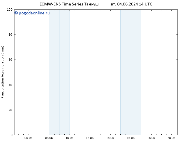 Precipitation accum. ALL TS вт 04.06.2024 20 UTC