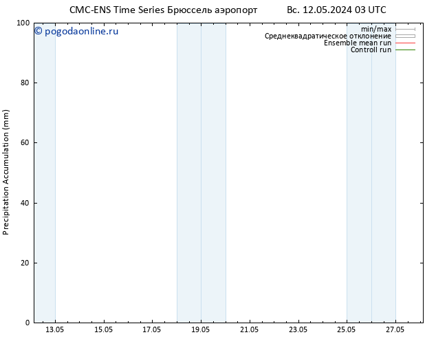 Precipitation accum. CMC TS Вс 12.05.2024 09 UTC