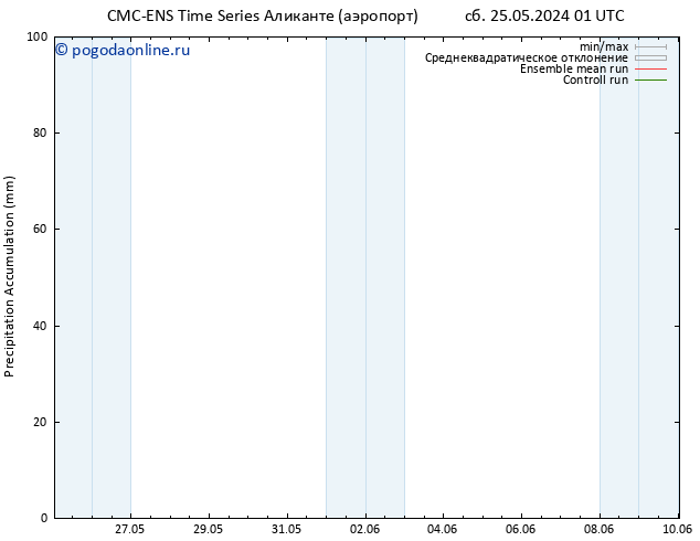 Precipitation accum. CMC TS сб 25.05.2024 01 UTC