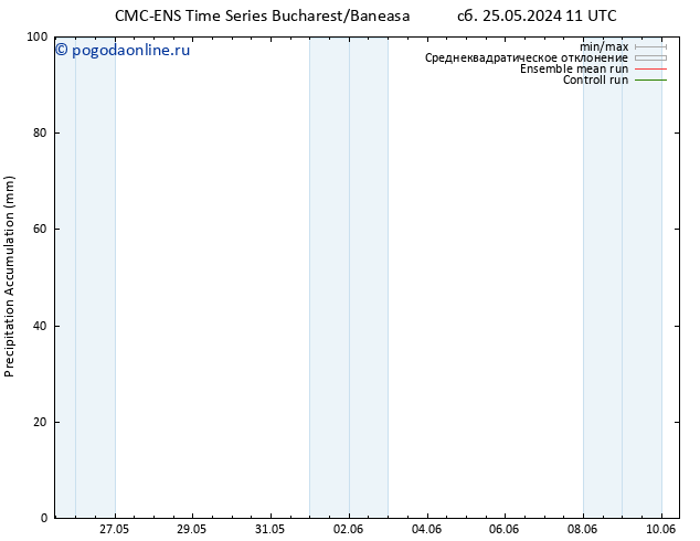 Precipitation accum. CMC TS сб 25.05.2024 11 UTC