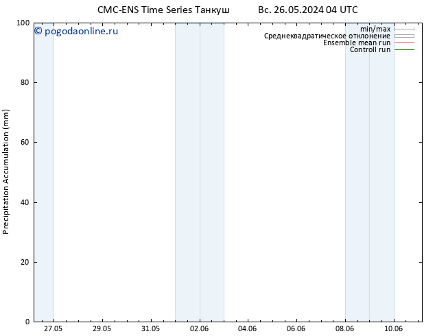 Precipitation accum. CMC TS ср 29.05.2024 16 UTC