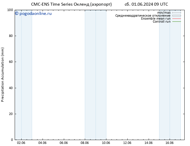 Precipitation accum. CMC TS пн 10.06.2024 09 UTC