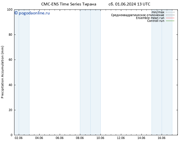 Precipitation accum. CMC TS пн 10.06.2024 01 UTC