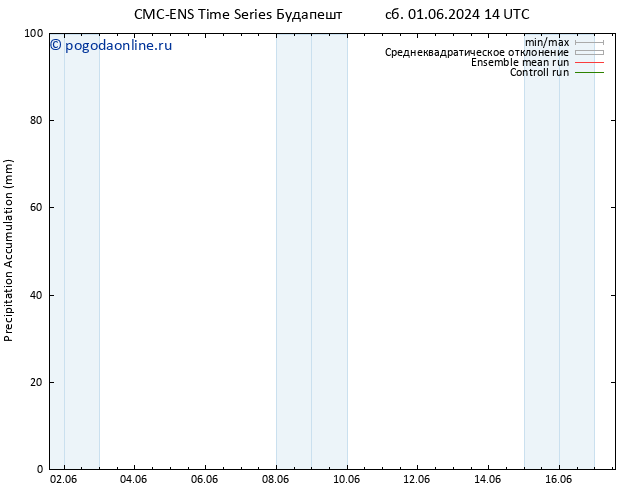 Precipitation accum. CMC TS сб 01.06.2024 20 UTC