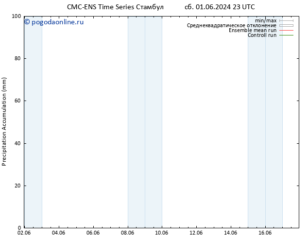 Precipitation accum. CMC TS Вс 02.06.2024 11 UTC