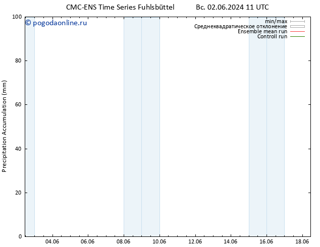 Precipitation accum. CMC TS пн 03.06.2024 11 UTC