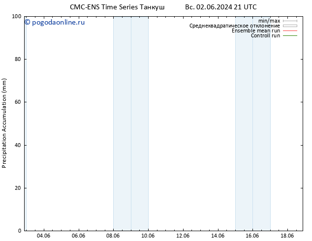 Precipitation accum. CMC TS Вс 02.06.2024 21 UTC