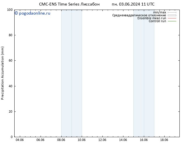 Precipitation accum. CMC TS пн 03.06.2024 17 UTC