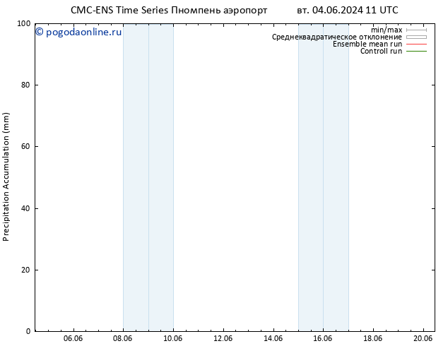 Precipitation accum. CMC TS пт 07.06.2024 05 UTC