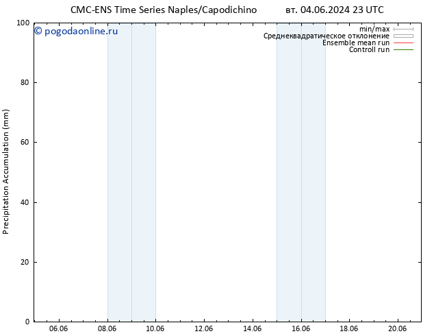 Precipitation accum. CMC TS вт 04.06.2024 23 UTC