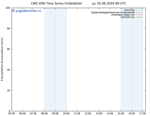 Precipitation accum. CMC TS ср 05.06.2024 00 UTC