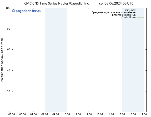 Precipitation accum. CMC TS ср 05.06.2024 00 UTC