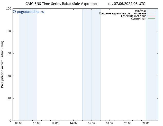 Precipitation accum. CMC TS пн 10.06.2024 02 UTC