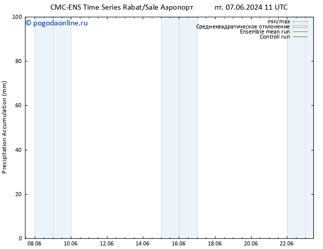 Precipitation accum. CMC TS пн 10.06.2024 05 UTC